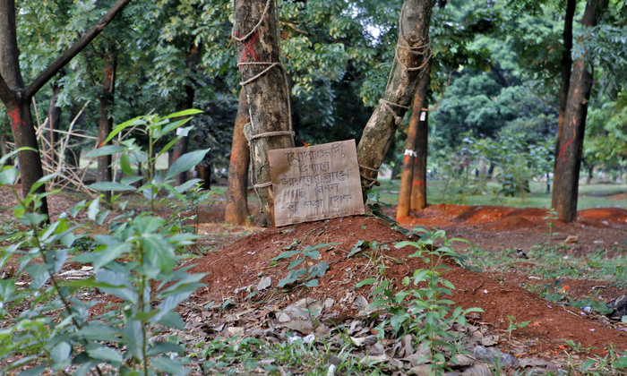 শুনানির আগে গাছ না কাটার নির্দেশ হাইকোর্টের