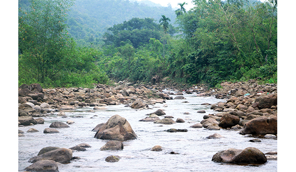 প্রকৃতিকন্যা  তুরং ছড়া’র  মায়াবি হাতছানি