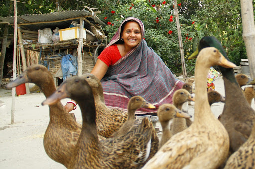 কৃষিতে নারীর অবদান থাকলেও স্বীকৃতি নেই