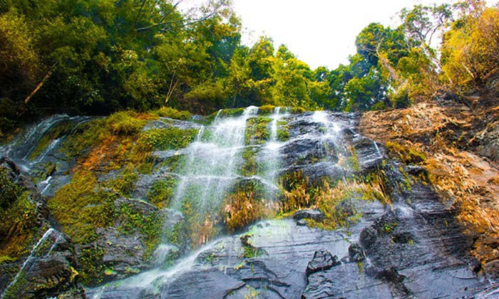 ঝর্ণার রানী জাদিপাই