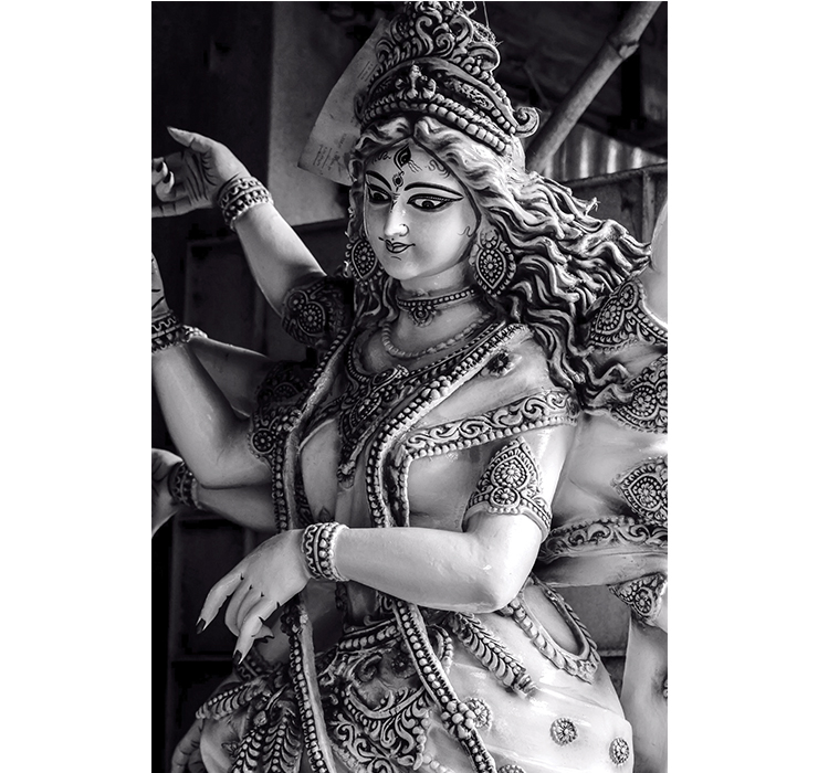 জয় হোক নারীশক্তির
